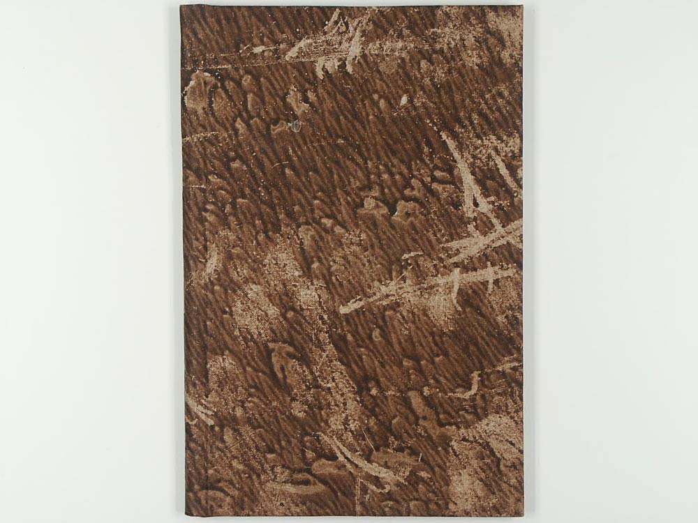 Elisabetta regina d' Inghilterra