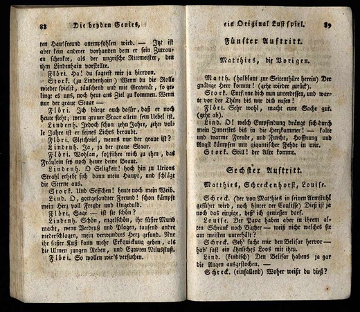 Die beyden Genies
