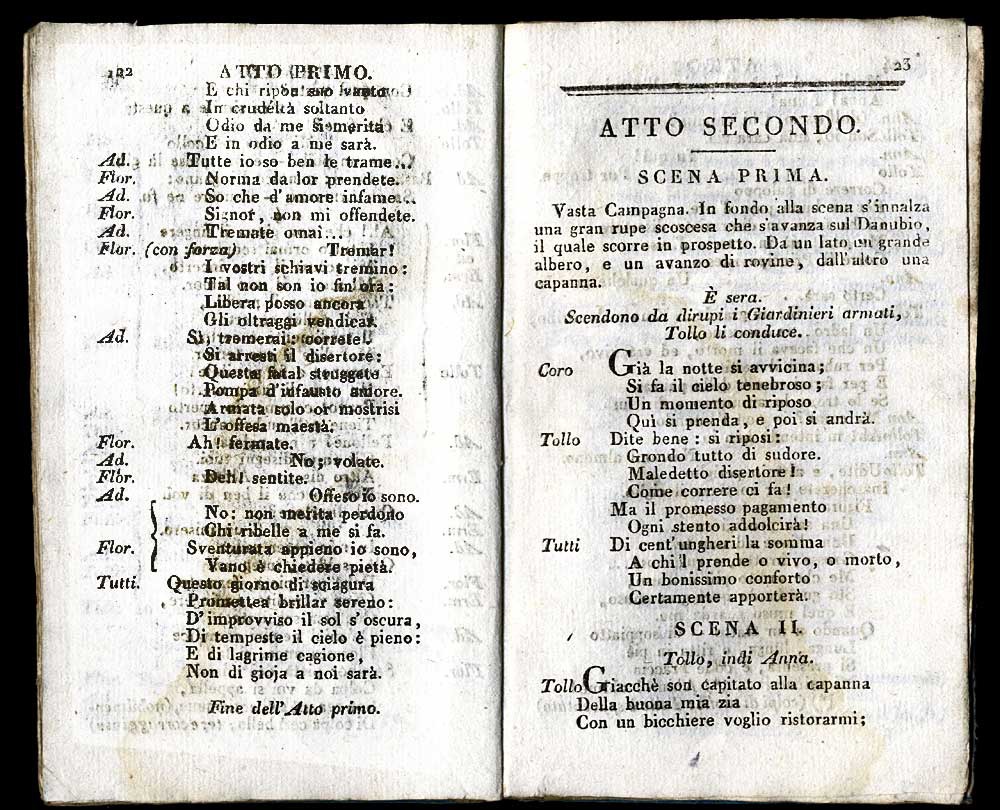 La testa di bronzo o sia La capanna solitaria