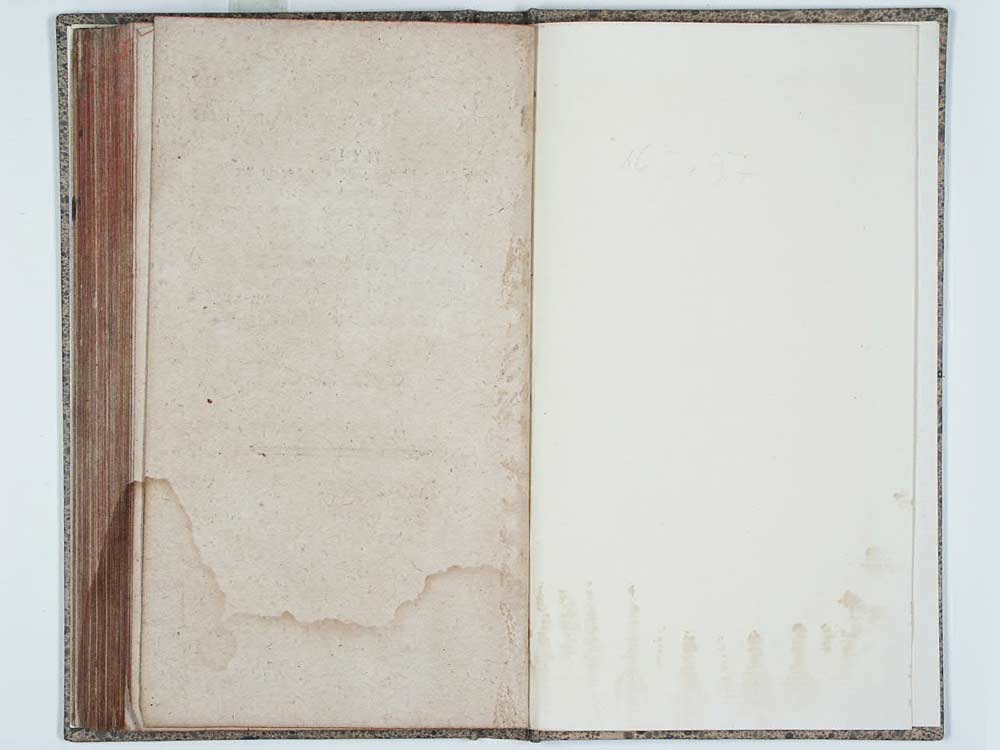 Il re Teodoro in Venezia