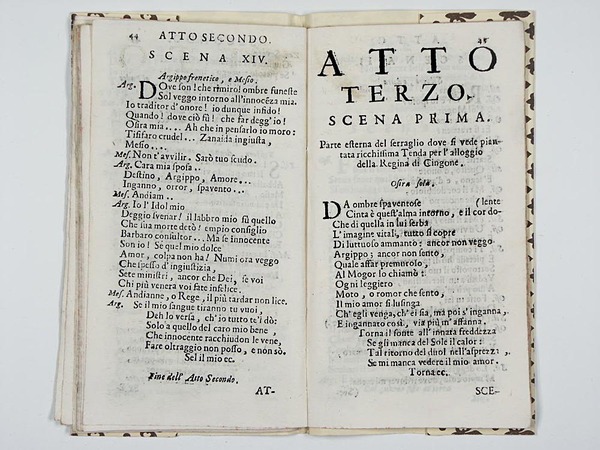 L' Argippo